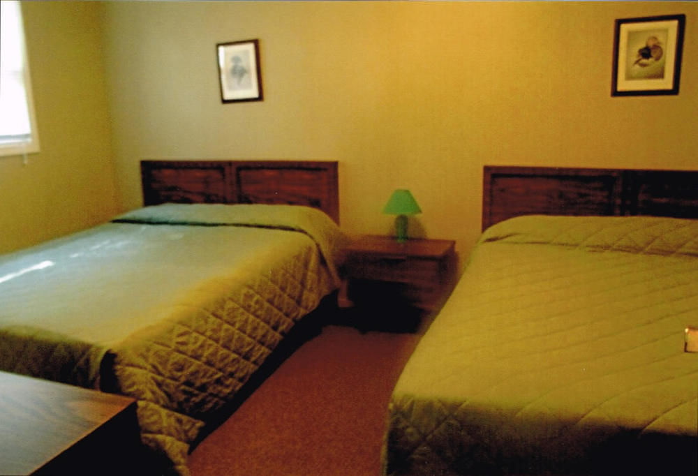 Dixon Lake Resort Motel Gaylord Exterior photo